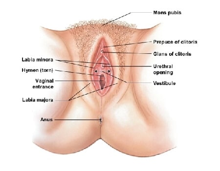 Bra line backlift correct sagging skin and excess fat around the back.