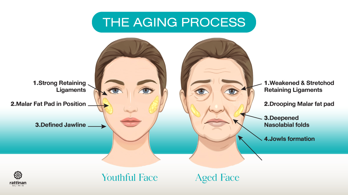 the aging process