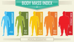body mass index โปรแกรมคำนวณค่า BMI