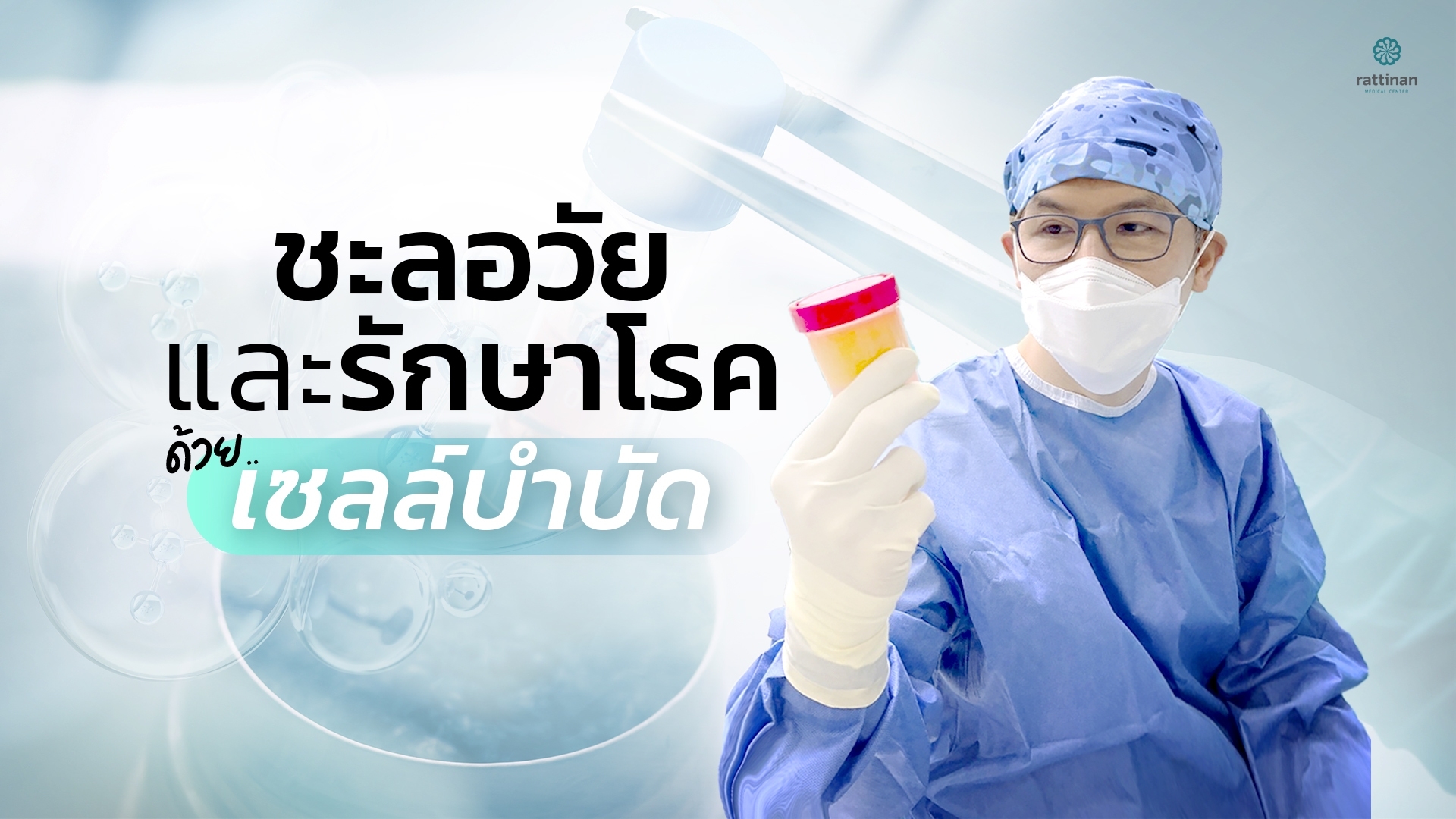 ไหม ส เต ม เซล