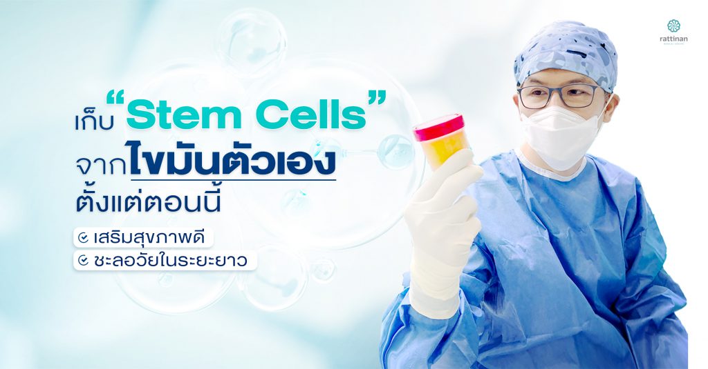 stem cells จากไขมัน