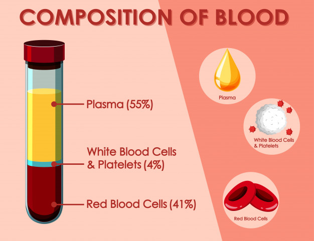 PRP treatment ส่วนประกอบเลือดภายในร่างกาย