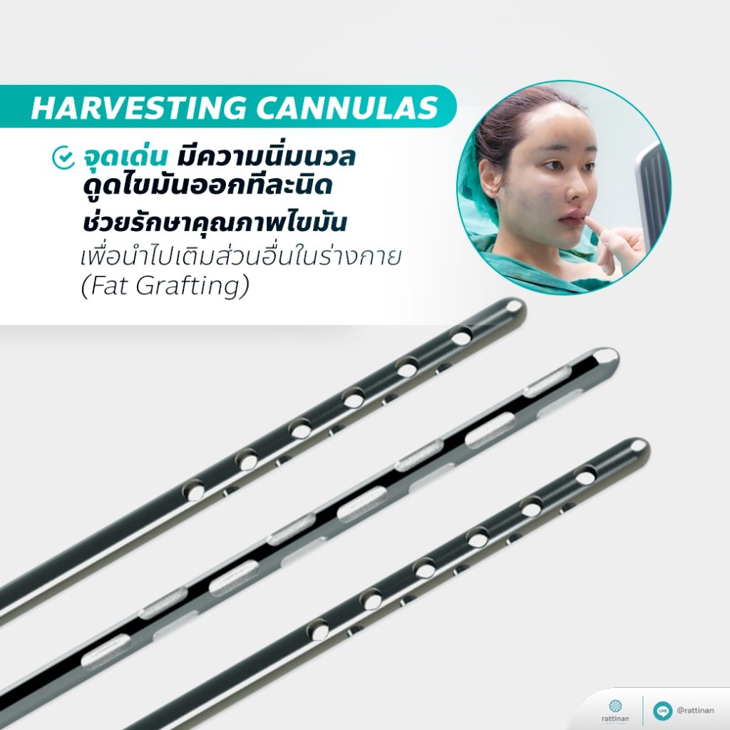 หัวดูดไขมัน PAL - Harvesting Cannulas