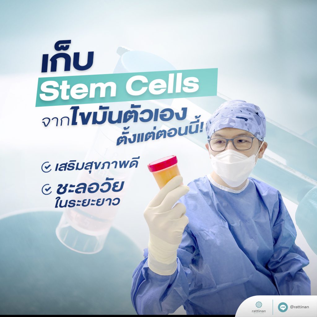 Stem-Cell เก็บเซลล์ไขมัน