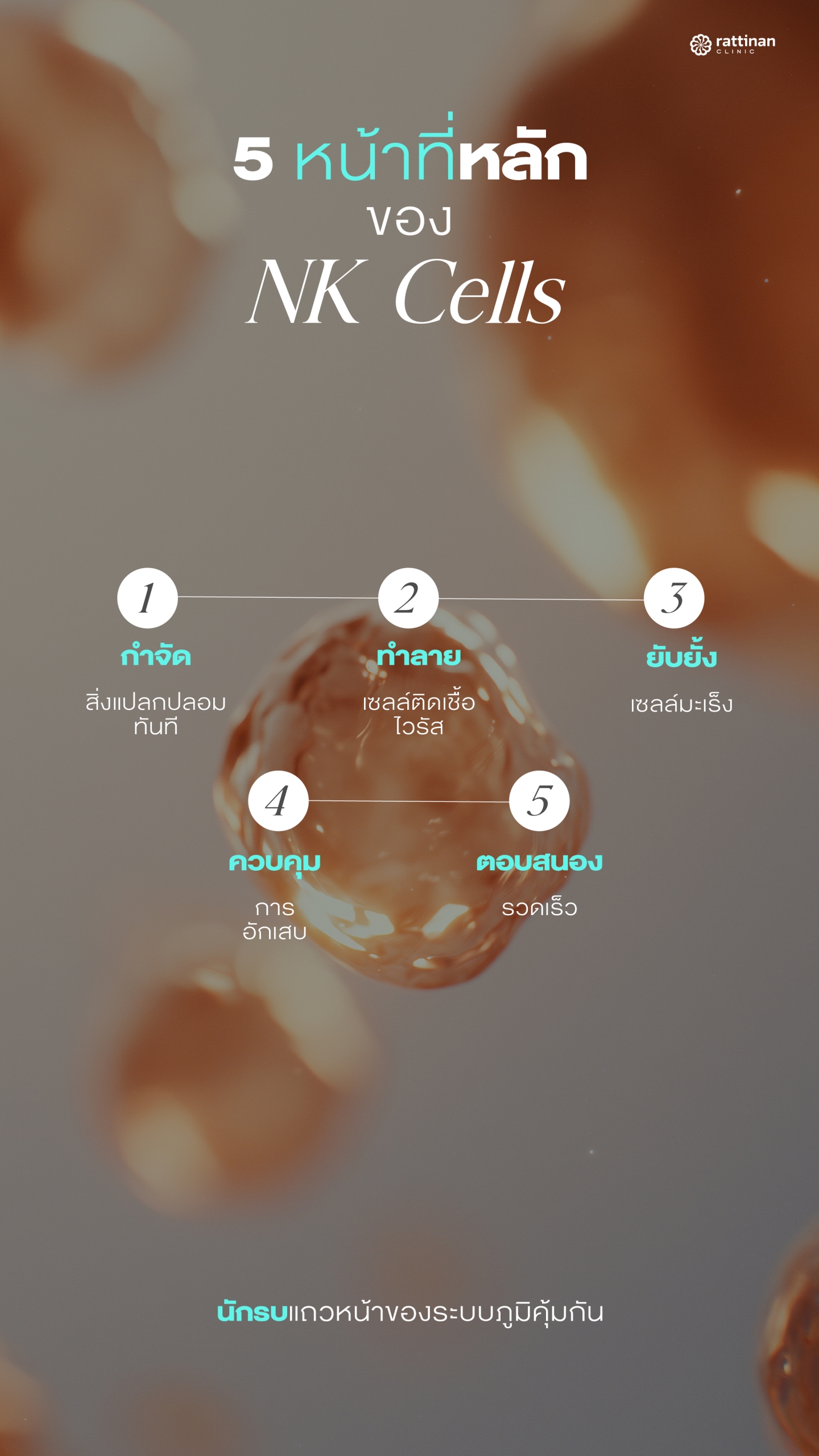 หน้าที่ของ NK Cells ในระบบภูมิคุ้มกันร่างกาย