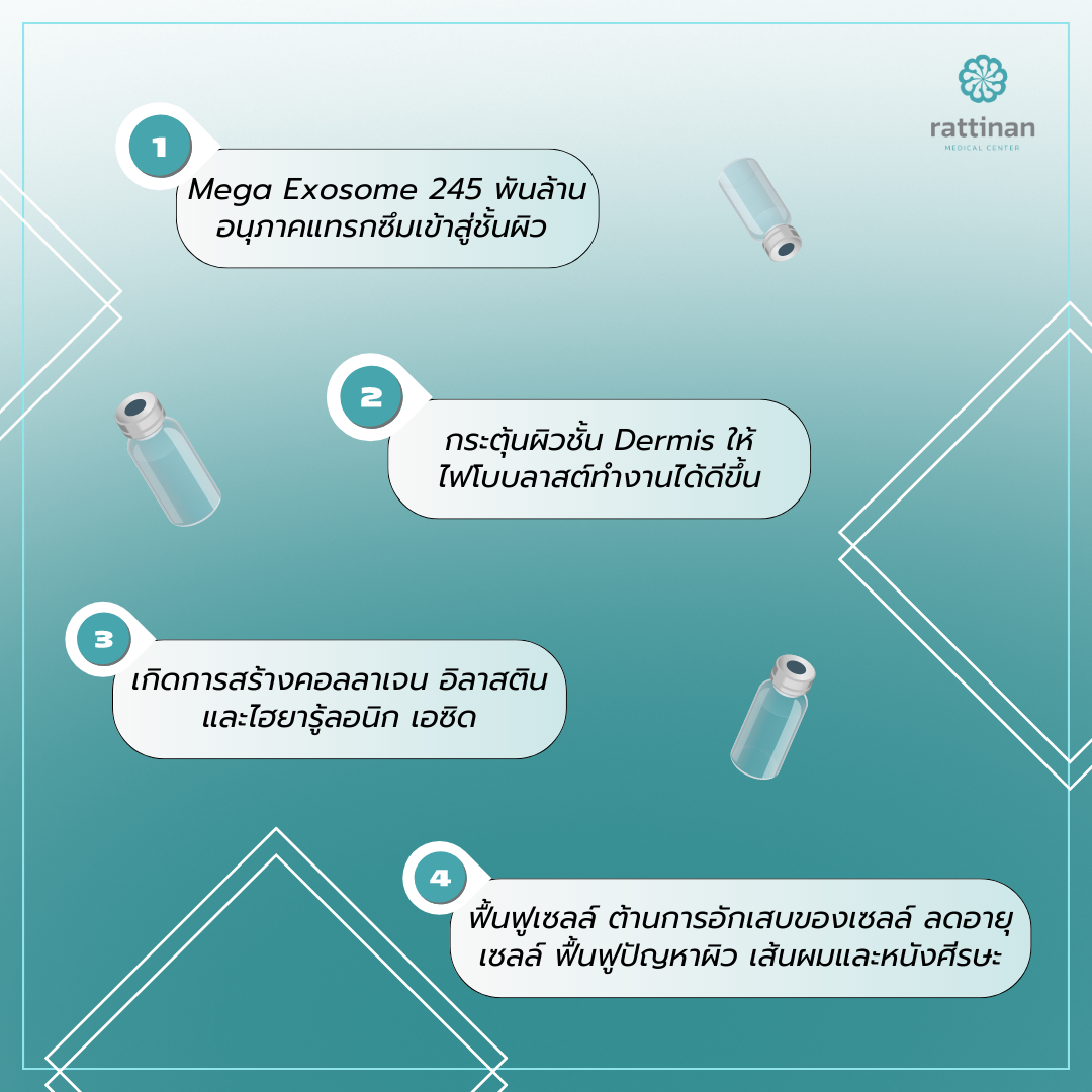 การทำงานของ Mega Exosome