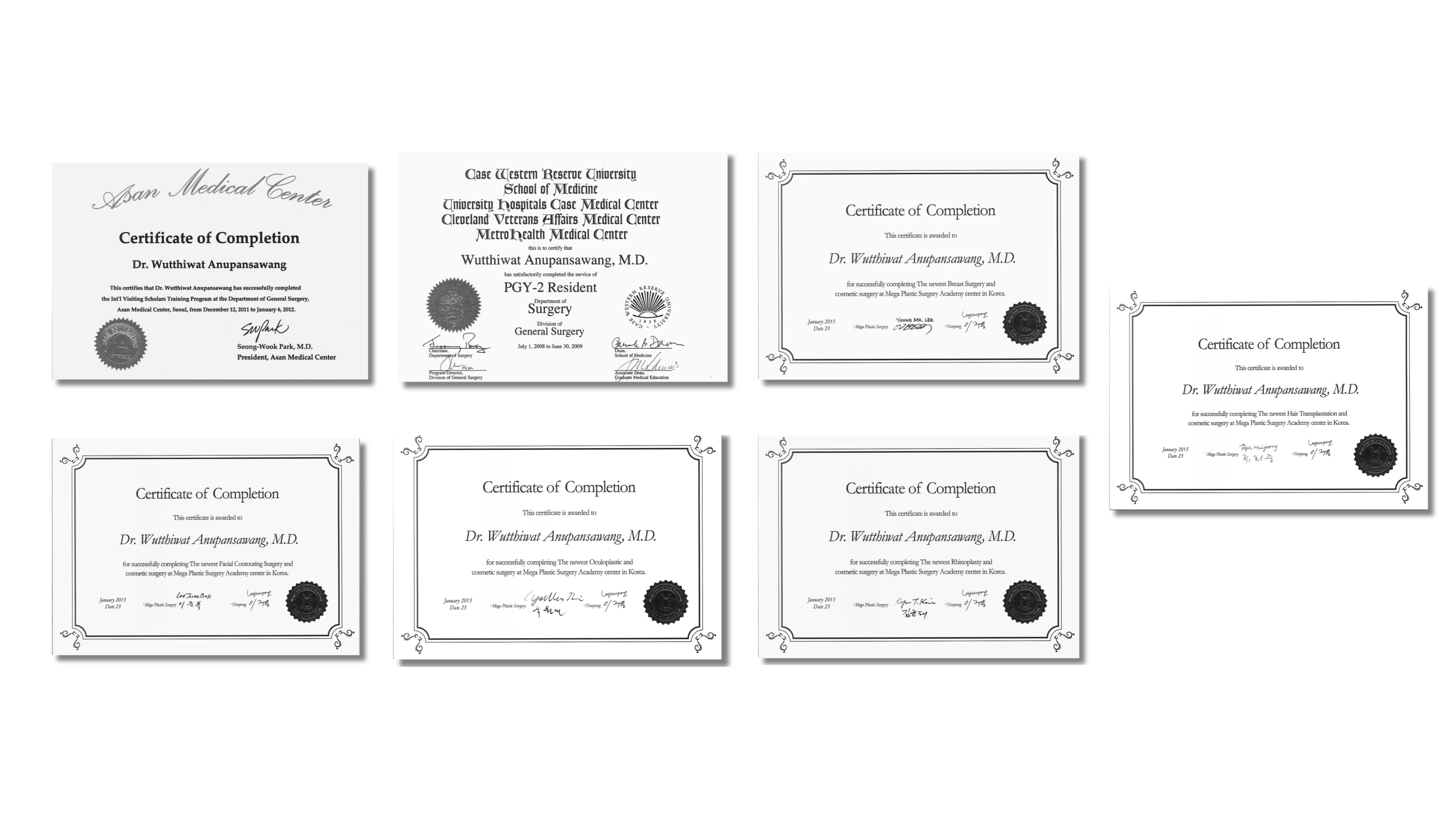 Dr. Tei Certificate 2