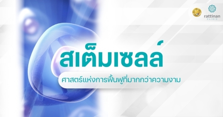 สเต็มเซลล์