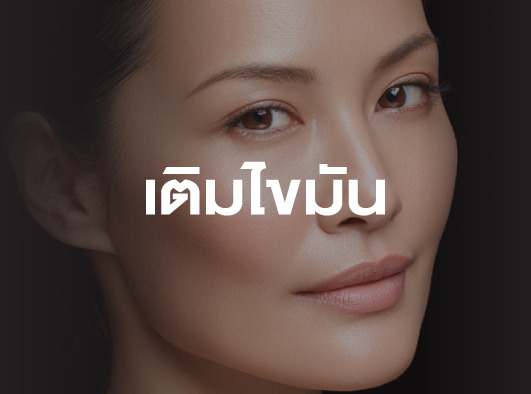 เติมไขมัน