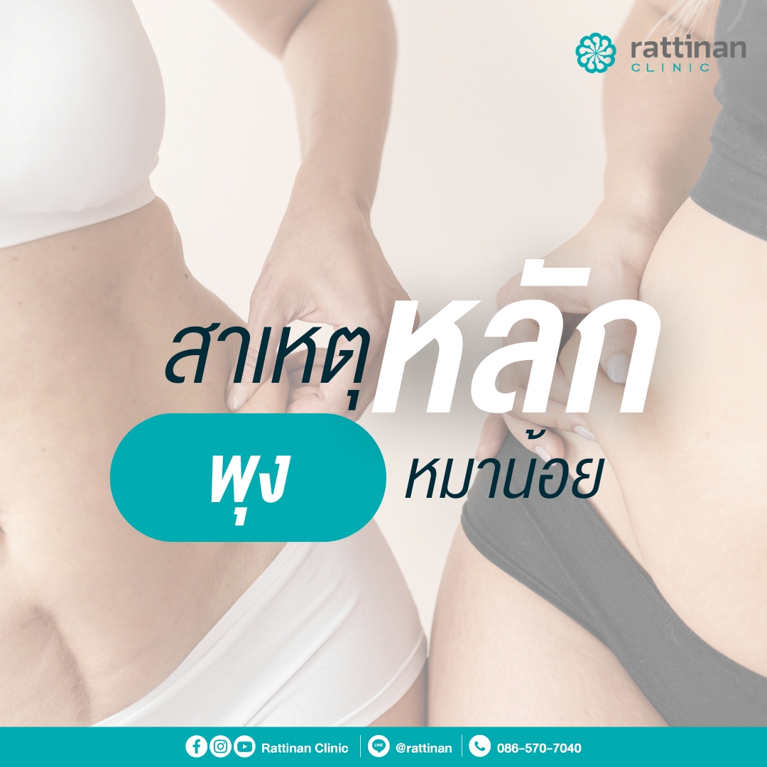 สาเหตุหลักพุงหมาน้อย