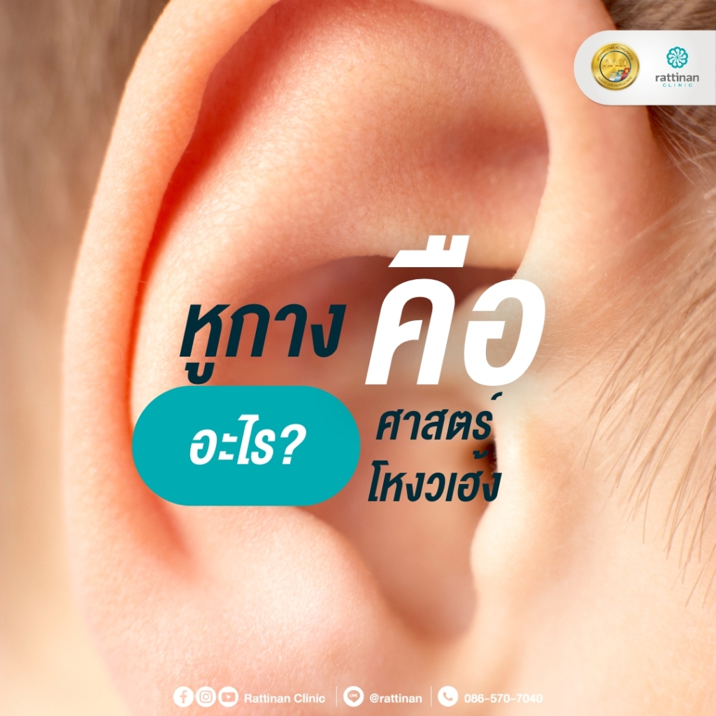 หูกาง คืออะไร
